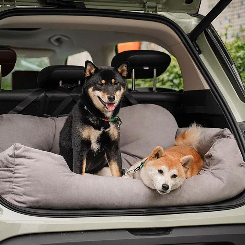 Divano da Viaggio per Cani — Comfort e Sicurezza in Auto