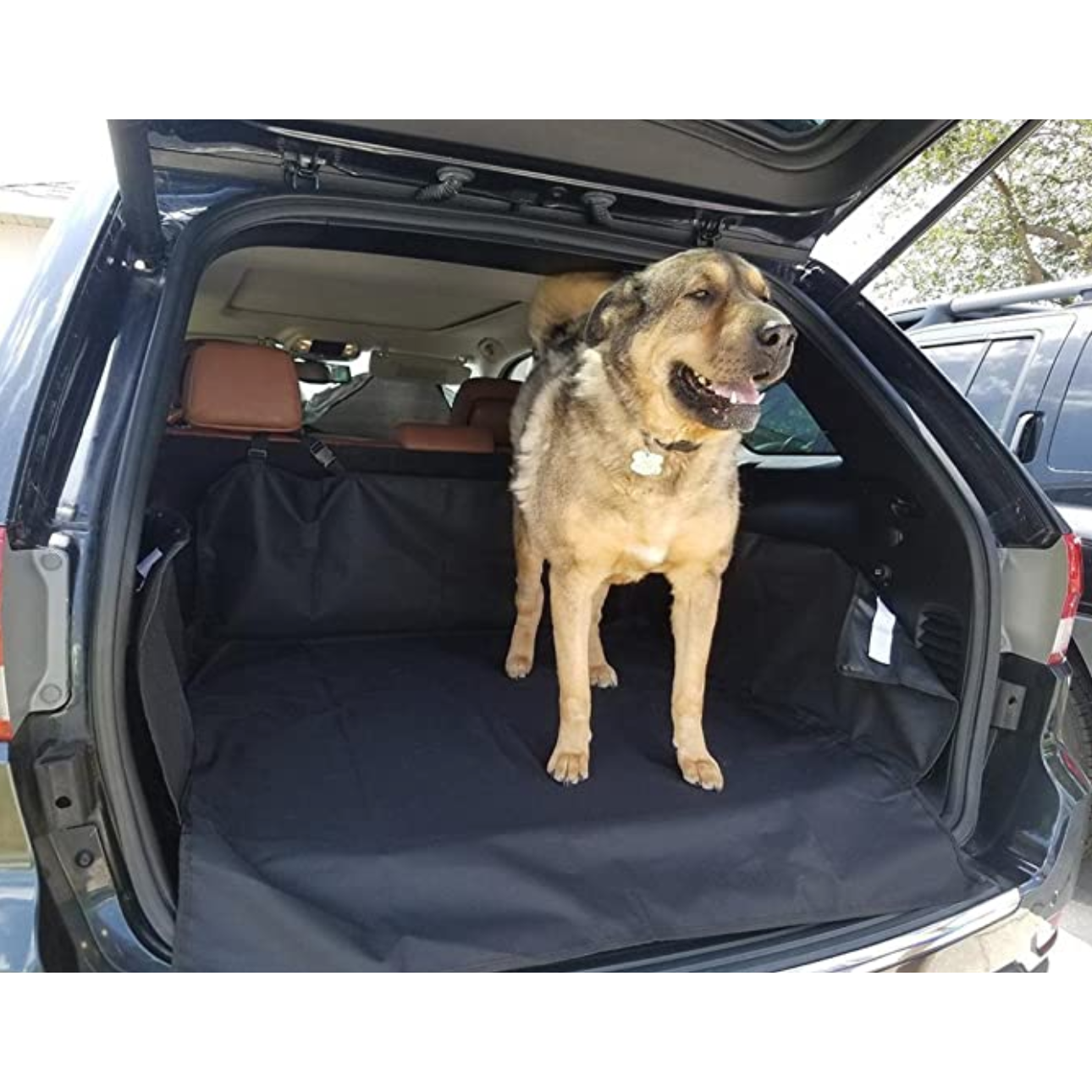 動物用の保護ケース — 完全で耐久性のある保護