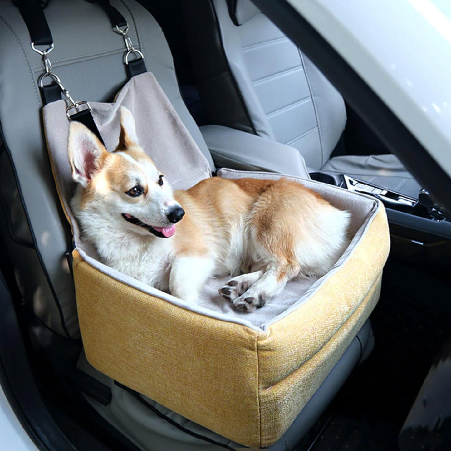 Transportpude til hund – Komfort og sikkerhed i bilen 