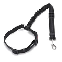 Correa de Seguridad Ajustable para Perro – Especial Coche 