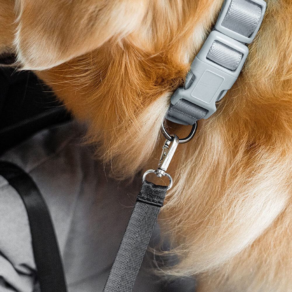 犬用カーシート — 一緒に安全に旅行しましょう 