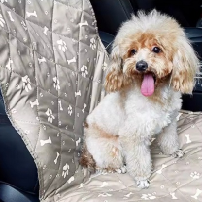 Zitplaatshoes Voor Dieren – Comfort En Bescherming In De Auto 