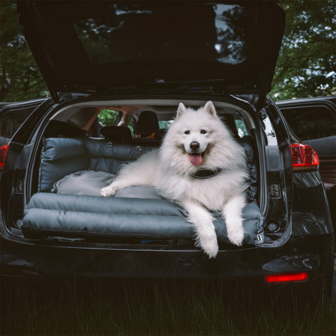 Auto polštář pro psa – podpora a komfort na cestě 