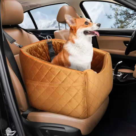 Hondenzitje – Comfort en Veiligheid in de Auto 