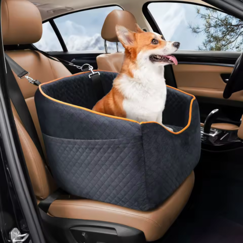 Hondenzitje – Comfort en Veiligheid in de Auto 