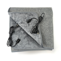 Copertura Riscaldata Per Auto – Comfort Istantaneo In Viaggio 